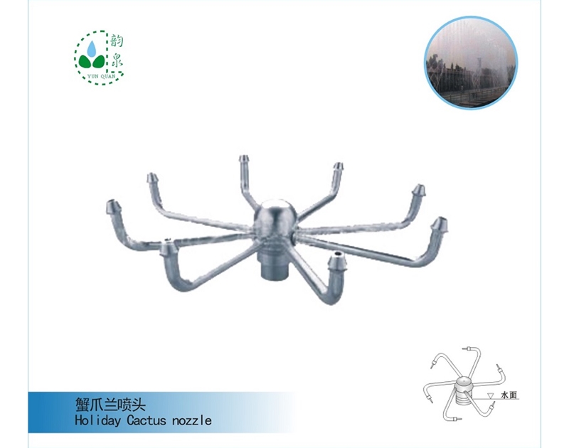 蟹爪兰喷头